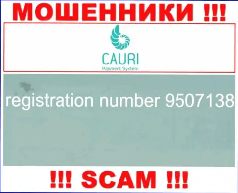 Регистрационный номер, принадлежащий незаконно действующей конторе Каури: 9507138