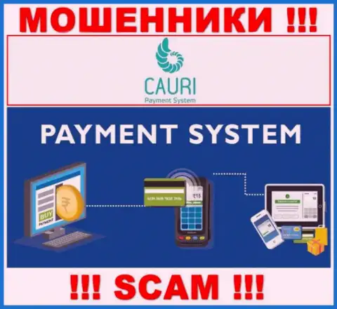 Мошенники Каури, работая в области Payment system, лишают средств людей