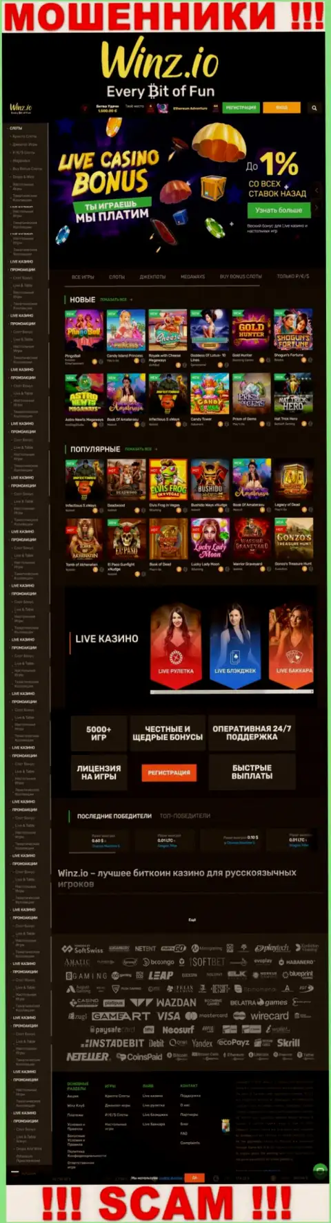 Winz Io - это сайт где затягивают жертв в сети мошенников Winz Casino