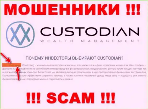 Юридическим лицом, управляющим интернет-кидалами Кустодиан, является ООО Кастодиан