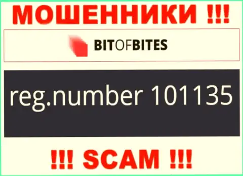 Рег. номер организации BitOfBites Com, который они показали на своем сайте: 101135