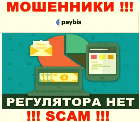 У PayBis Com на интернет-ресурсе не имеется информации о регулирующем органе и лицензии конторы, а следовательно их вообще нет