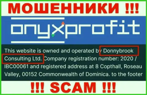 Юридическое лицо организации Доннибрук Консалтинг Лтд - Donnybrook Consulting Ltd, инфа позаимствована с официального интернет-портала