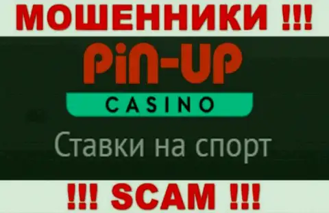 Основная деятельность Pin Up Casino - Казино, будьте очень бдительны, действуют незаконно