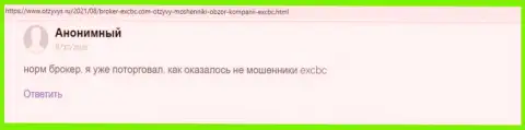 Сайт otzyvys ru делится отзывом валютного игрока об брокерской организации EX Brokerc