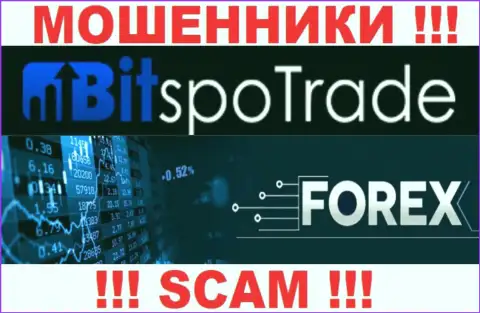 Forex - это именно то, чем занимаются internet мошенники BitSpoTrade Com
