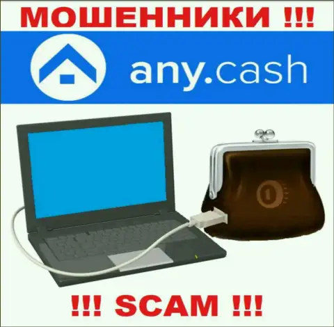Any Cash - РАЗВОДИЛЫ, направление деятельности которых - Виртуальный online-кошелек