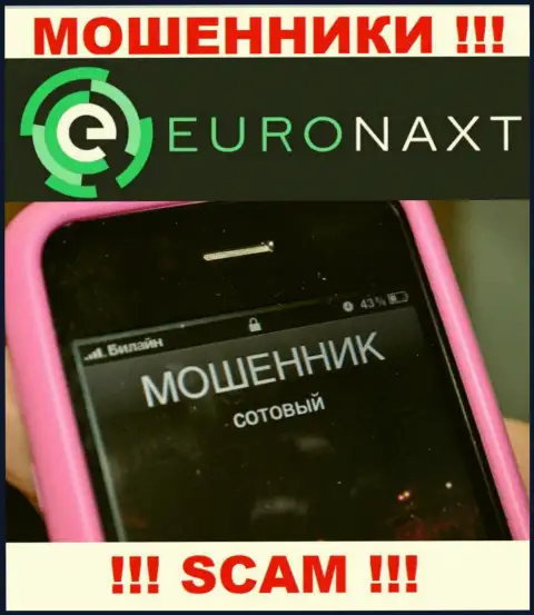Вас могут раскрутить на финансовые средства, EuroNax в поисках очередных жертв