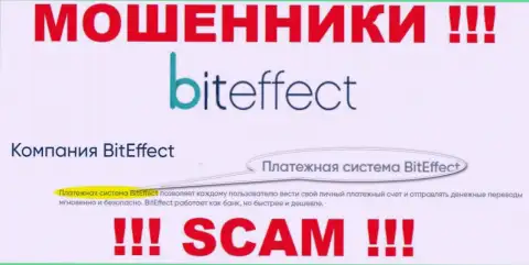 Осторожно, направление деятельности Bit Effect, Система платежей - это обман !!!