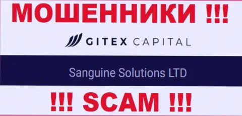 Юридическое лицо Сангин Солютионс ЛТД - это Sanguine Solutions LTD, именно такую информацию предоставили мошенники на своем интернет-портале