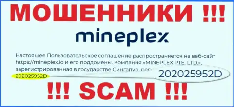 Номер регистрации еще одной преступно действующей конторы MinePlex - 202025952D