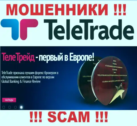 Forex - в этой области работают ушлые интернет-обманщики TeleTrade Ru