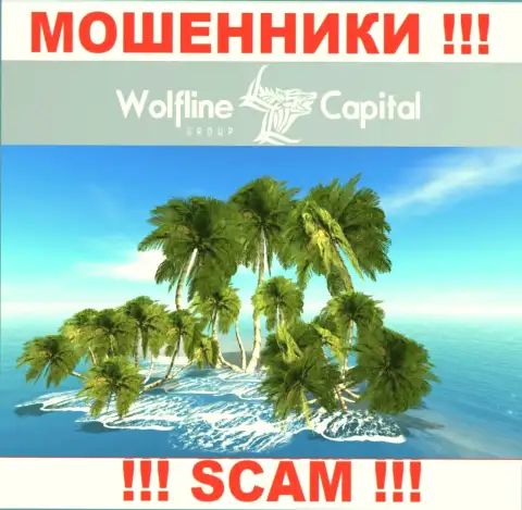 Воры Wolfline Capital не размещают достоверную инфу относительно их юрисдикции