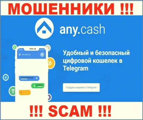 Any Cash - это интернет кидалы, их деятельность - Виртуальный кошелёк, нацелена на кражу вложенных средств доверчивых клиентов