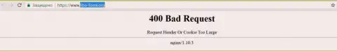 Официальный web-сайт компании FIBO Group Ltd некоторое количество дней заблокирован и выдает - 400 Bad Request (неверный запрос)