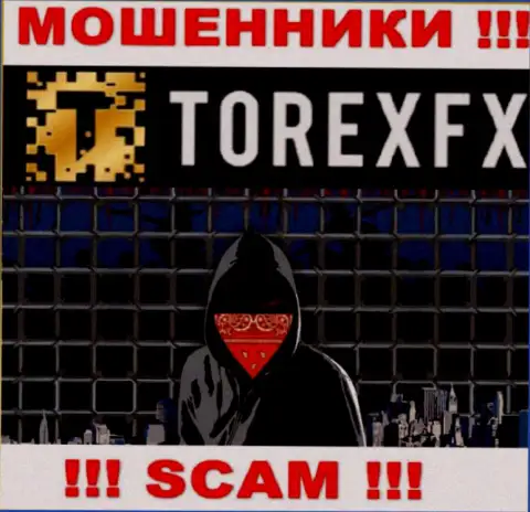 TorexFX 42 Marketing Limited не разглашают инфу о руководителях конторы