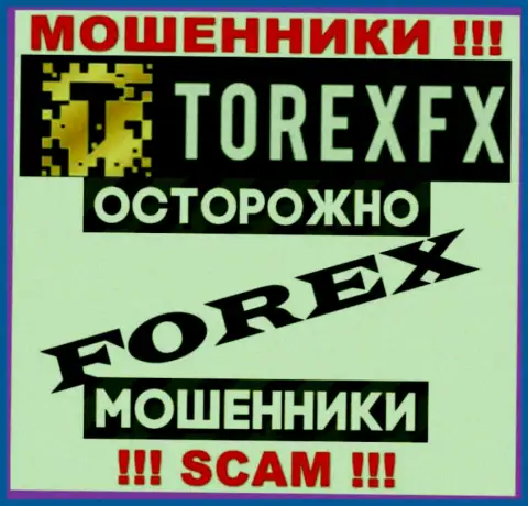 Направление деятельности TorexFX Com: FOREX - хороший доход для жуликов